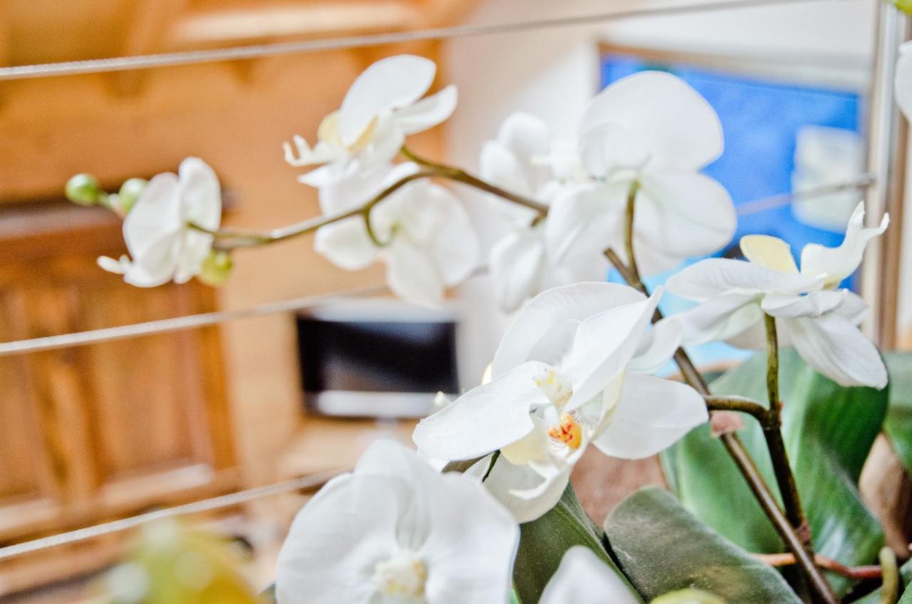 Apartment Baergrose - Griwa Rent Ag Grindelwald Kültér fotó